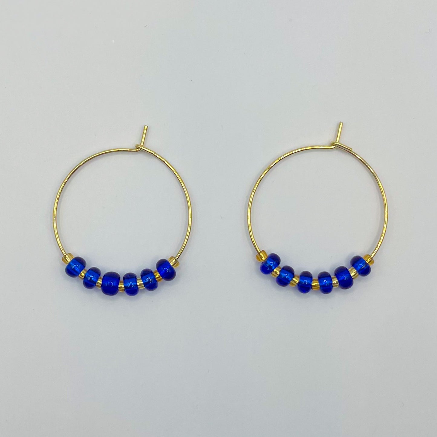 Earrings Blue